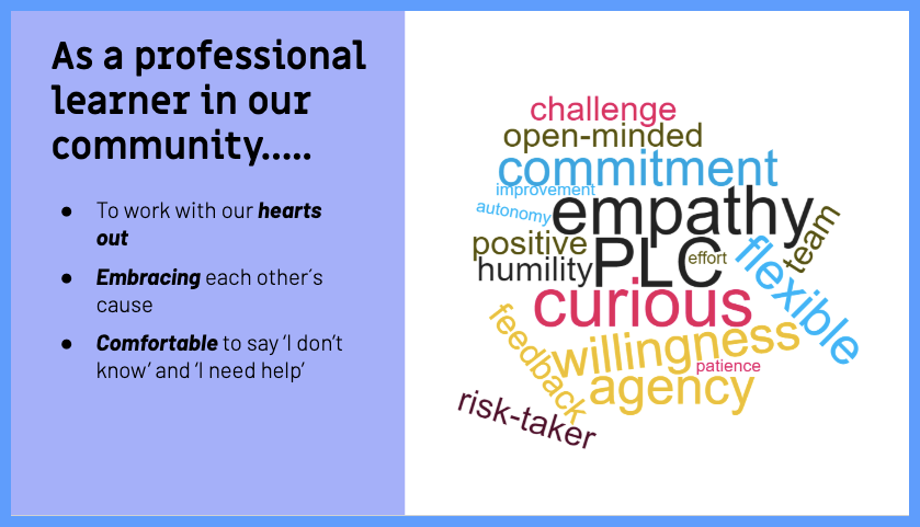 Go As A River Developing Professional Learners In A PYP School Judy 